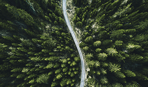 Rebalance your portfolio: restore the original allocation