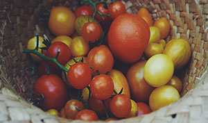 Proper diversification ups the odds of investment success