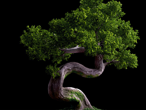 Bonsai green