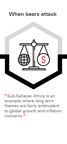 When bears attack: Sub-Saharan Africa is an example where long term themes are fairly ambivalent to global growth and inflation concerns.